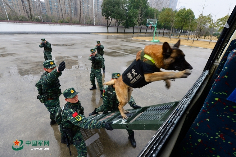 广东省地质局原一级巡视员莫纯銮被查 曾因食高档菜饮洋酒被处分  